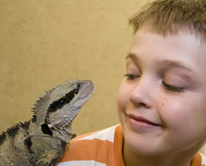 Geckoes Wildlife Presentations - Accommodation Perth 2