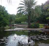 Brisbane City Botanic Gardens - Accommodation Perth