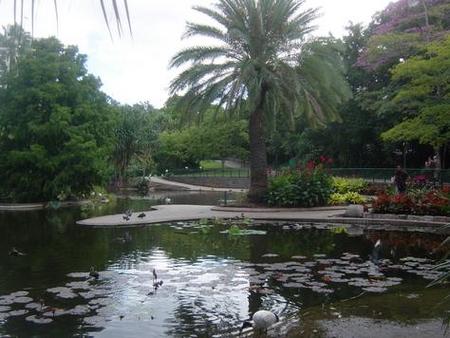 Brisbane City Botanic Gardens - Accommodation Perth 0