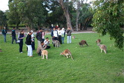 Caversham Wildlife Park - Accommodation Perth 2