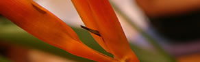 Zen Day Spa - Accommodation Perth 0