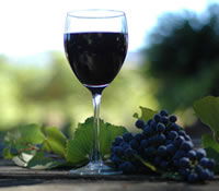 Lion Mill Vineyards - Accommodation Perth 0