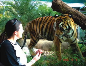 Crocodylus Park - Accommodation Perth 1