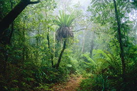 Canungra QLD Accommodation Perth