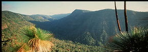 Lamington National Park And OReillys - Accommodation Perth 1