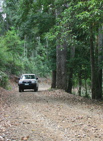 Lamington National Park And OReillys - Accommodation Perth 2