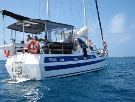 Coral Sea Dreaming Dive And Sail - Accommodation Perth 3