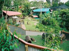Kuranda Koala Gardens - Accommodation Perth 1