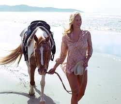 Ride The Beach - Accommodation Perth 3