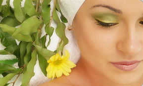 Indica Spa - Accommodation Perth 1