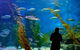 Melbourne Aquarium - thumb 0