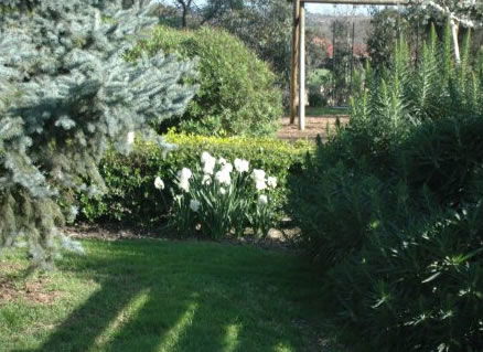 The Old Cheese Factory - Accommodation Perth 2