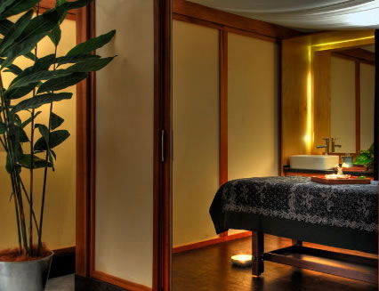 Pure Energy Concept Spas - Accommodation Perth 2