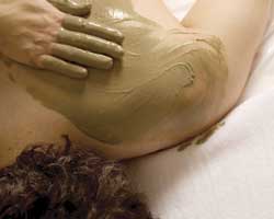 Alkaline Spa & Clinic - Accommodation Perth 2