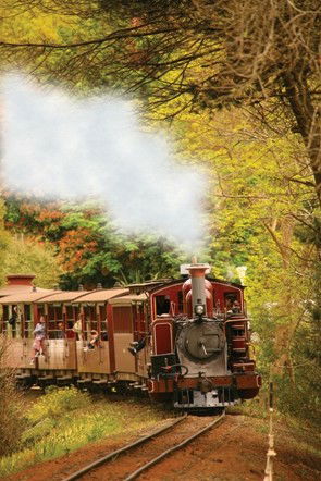 Puffing Billy - Accommodation Perth 5