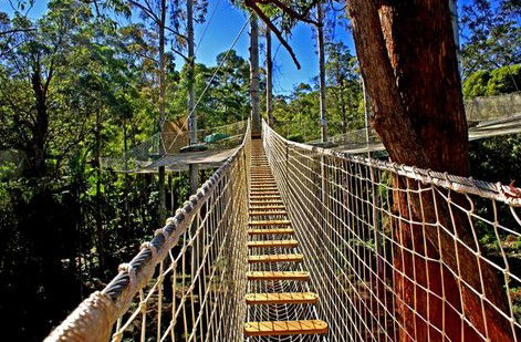 FreemanX Experience - Accommodation Perth 2