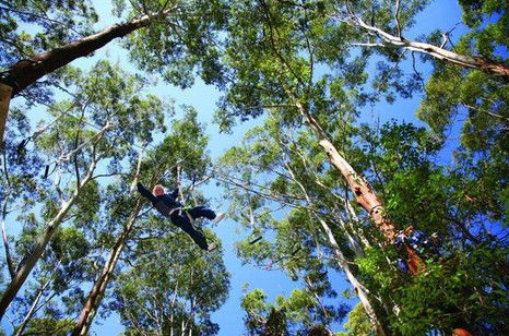 FreemanX Experience - Accommodation Perth 5