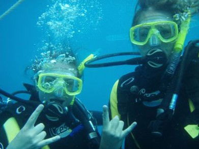 Snorkel Safari Brisbane - Accommodation Perth 5