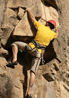 Adventures Around Brisbane - Perth Resorts 3