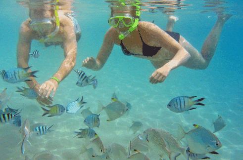 Australian Kayaking Adventures - Accommodation Perth 2