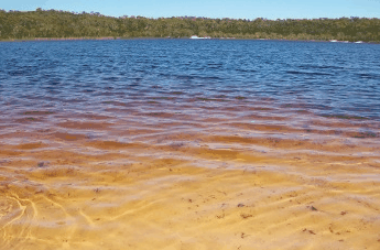 Beach Trekkers North Stradbroke Island - Accommodation Perth 1