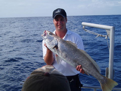 Blue Juice Charters - Accommodation Perth 1