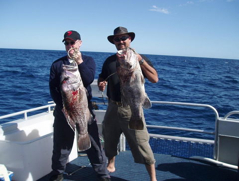 Blue Juice Charters - Accommodation Perth 2