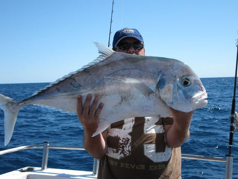 Blue Juice Charters - Accommodation Perth 4