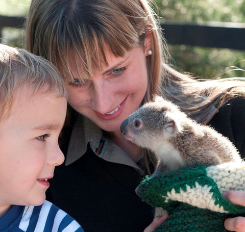 Australian Reptile Park - Accommodation Perth 1