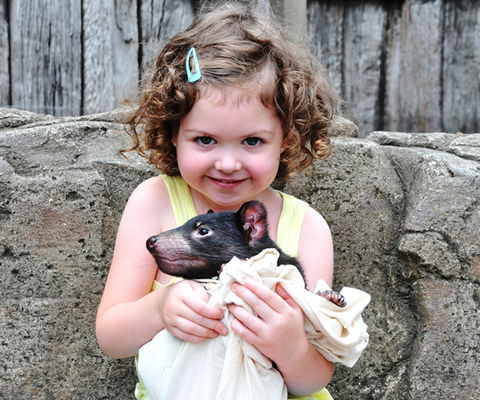 Australian Reptile Park - Accommodation Perth 8