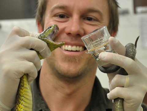 Australian Reptile Park - Accommodation Perth 9