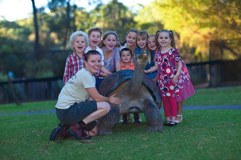 Australian Reptile Park - Accommodation Perth 11