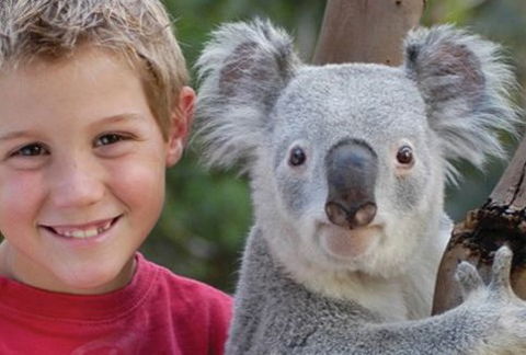 Featherdale Wildlife Park - Accommodation Perth 1
