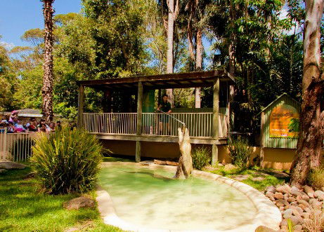 Featherdale Wildlife Park - Accommodation Perth 2