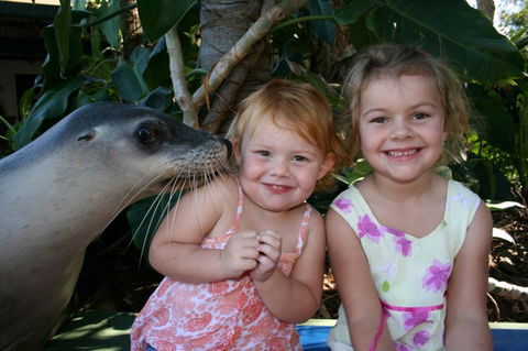 Dolphin Marine Magic - Accommodation Perth 0