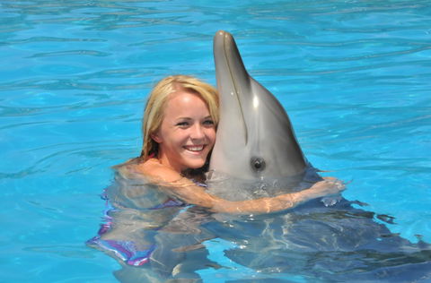 Dolphin Marine Magic - Accommodation Perth 5