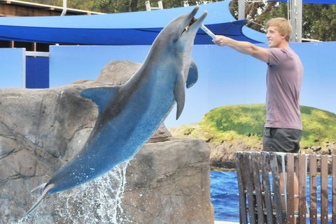 Dolphin Marine Magic - Accommodation Perth 7