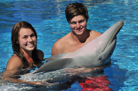 Dolphin Marine Magic - Accommodation Perth 8
