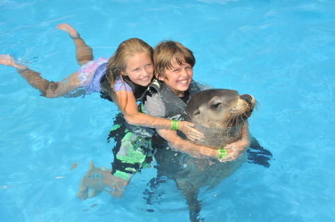 Dolphin Marine Magic - Accommodation Perth 9