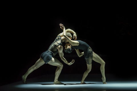Sydney Dance Company - Accommodation Perth 0