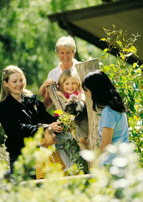 Cleland Wildlife Park - Accommodation Perth 5