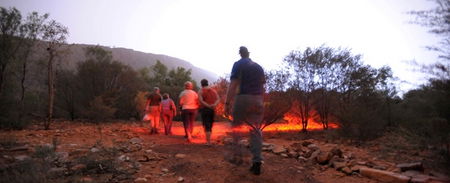 Alice Springs Desert Park - Accommodation Perth 4