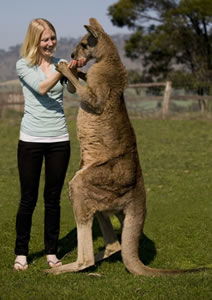 Zoo Doo Wildlife Park - Accommodation Perth 5