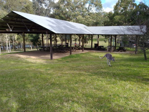 Calmsley Hill City Farm - Accommodation Perth 5