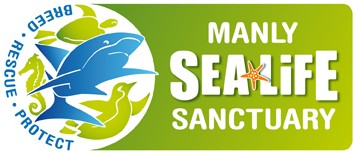 Manly SEA LIFE Sanctuary - Accommodation Perth 0