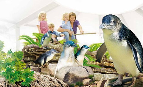 Manly SEA LIFE Sanctuary - Accommodation Perth 1