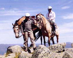 High Country Horses - Accommodation Perth 3