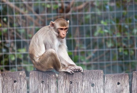 Darling Downs Zoo - Accommodation Perth 5