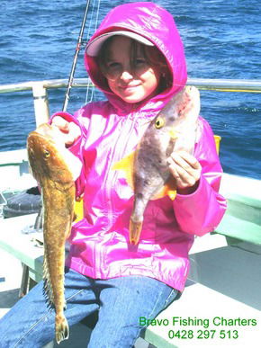 Bravo Fishing Charters - Accommodation Perth 5