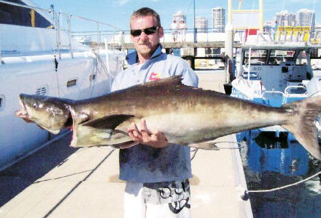 True Blue Fishing Charters - Accommodation Perth 0